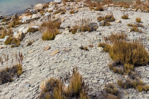 Wanderung Charquini und Lagunen von Huayna Potosí (Westseite)
