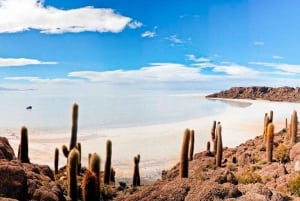 Otroliga Uyuni Salt Flats 3 dagar / 2 nätter.