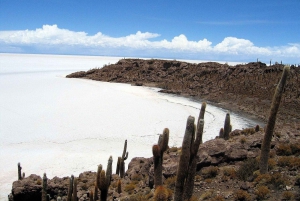 Jeep-Ausflug zur Insel Incahuasi und zur Salzwüste von Uyuni.