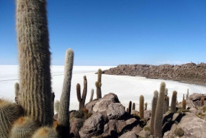 Jeep excursie naar Incahuasi eiland en de Uyuni zoutvlakte.