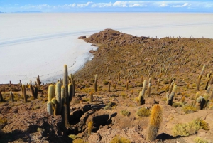 Jeep excursie naar Incahuasi eiland en de Uyuni zoutvlakte.