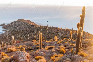 Excursão de jipe à Ilha Incahuasi e ao Salar de Uyuni.