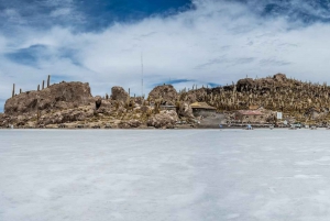 Excursão de jipe à Ilha Incahuasi e ao Salar de Uyuni.