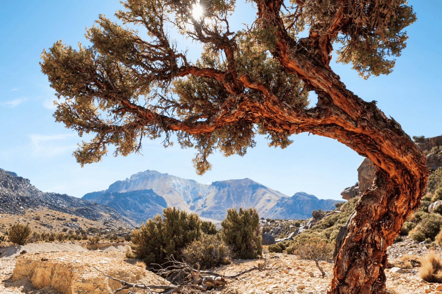 La Paz: 1-dniowa wycieczka Uyuni Salt Flats Tour lotem z hotelem