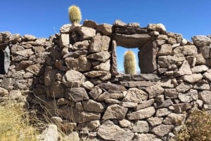 La Paz: Dagtour op de zoutvlaktes van Uyuni per vlucht met hotel