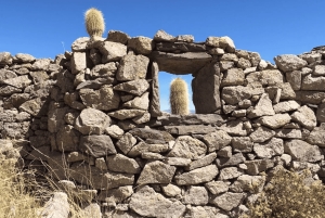 La Paz: 1-dniowa wycieczka Uyuni Salt Flats Tour lotem z hotelem