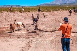 La Paz : Excursion de 3 jours à Uyuni + bus de nuit aller-retour surclassés