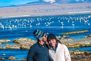 La Paz: 3-dagers Uyuni-tur + oppgradert omvisning om kvelden tur-retur