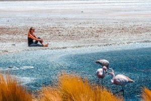 La Paz: Uyuni Tour + päivitetyt edestakaiset yöbussit.