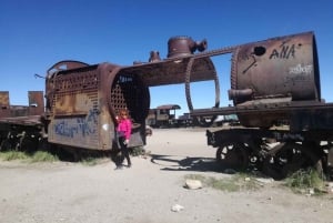 La Paz: 5-dagers Uyuni Salt Flats med buss med private hoteller.