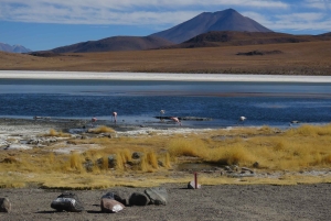 La Paz: Uyunin suolatasangot bussilla ja yksityisillä hotelleilla.