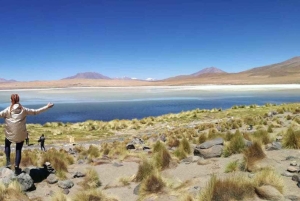 La Paz: Uyunin suolatasangot bussilla ja yksityisillä hotelleilla.