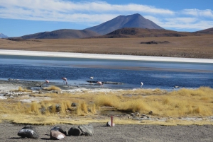 La Paz : 5 jours d'excursion en bus dans les plaines salées d'Uyuni