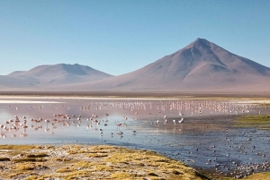 La Paz: Salar de Uyuni de 5 dias de ônibus