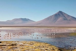 La Paz: 5-dagers bussreise til saltslettene i Uyuni