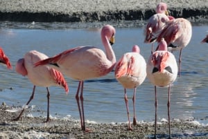 La Paz: 6-tägige private Best-of-Bolivien-Tour mit Flügen