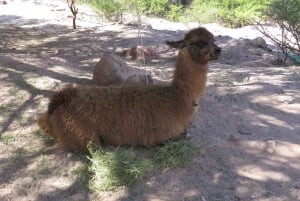 La Paz: Bolivian parhaat puolet - 6 päivän yksityinen kiertomatka lentojen kanssa.