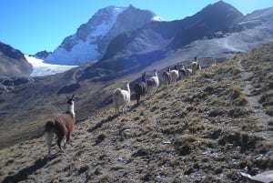 La Paz: Andes Mountains 7-Day Trek with Huayna Potosí climb