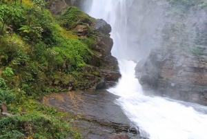 La Paz, Caranavi_Tour delle cascate_Privato