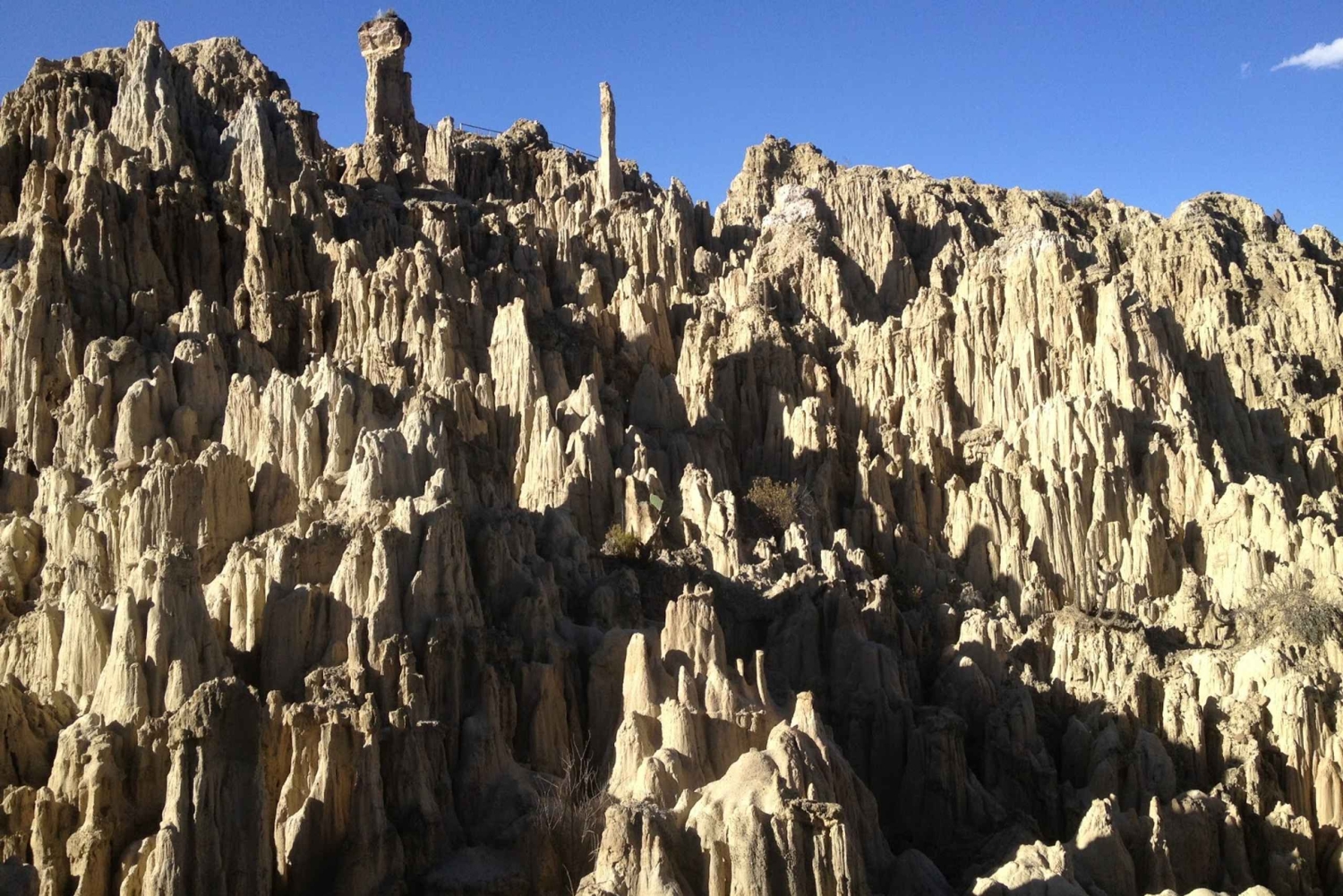 Stadsvandring i La Paz och Moon Valley