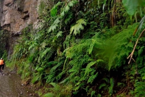 La Paz: Passeio de mountain bike pela Estrada da Morte com almoço