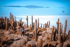 La Paz: Heldags Uyuni + opgraderede natbusser tur/retur