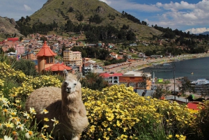 La Paz : Excursion privée de 2 jours au lac Titicaca et à l'île du Soleil et de la Lune