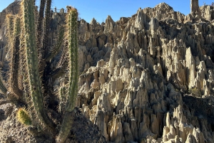 La Paz:Tour privato della città con la Valle della Luna e la funivia