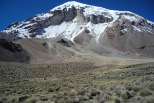 La Paz: Tour Sajama, zoutvlakte van Uyuni, San Pedro de Atacama