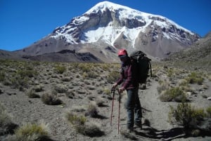 La Paz: Wycieczka Sajama, solniska Uyuni, San Pedro de Atacama