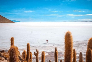 La Paz: San Pedro de Atacama excursion with salt flats