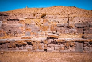 La Paz: visite privée de Tiwanaku et Puma Punku avec déjeuner