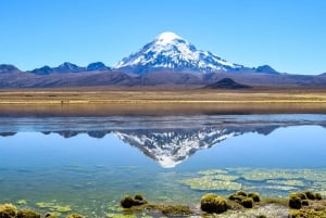 La Paz til Uyuni via Sajama nasjonalpark