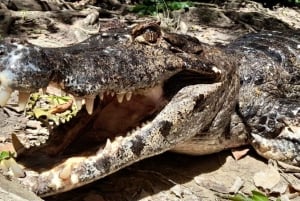 LA PAZ: TUR 3 DAGAR 2 NÄTTER RURRENABAQUE_MADIDI SELVA