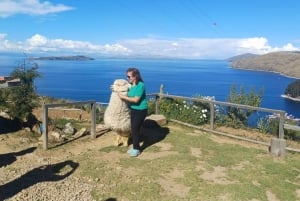 La Paz, visite d'une jounée COPACABANA + ILE DU SOLEIL