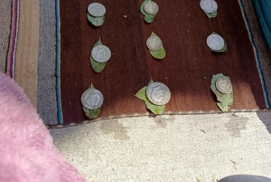 La Paz: Urban Enigma Walking Tour