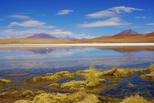 La Paz: Uyuni Salt Flat and Incahuasi Island |5 days| by bus