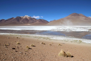 La Paz : Saline d'Uyuni et île d'Incahuasi |5 jours| en bus