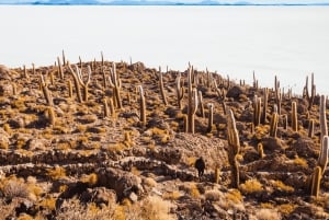 La Paz: Uyuni Salt Flats 2-Day Tour with Flights & Hotel