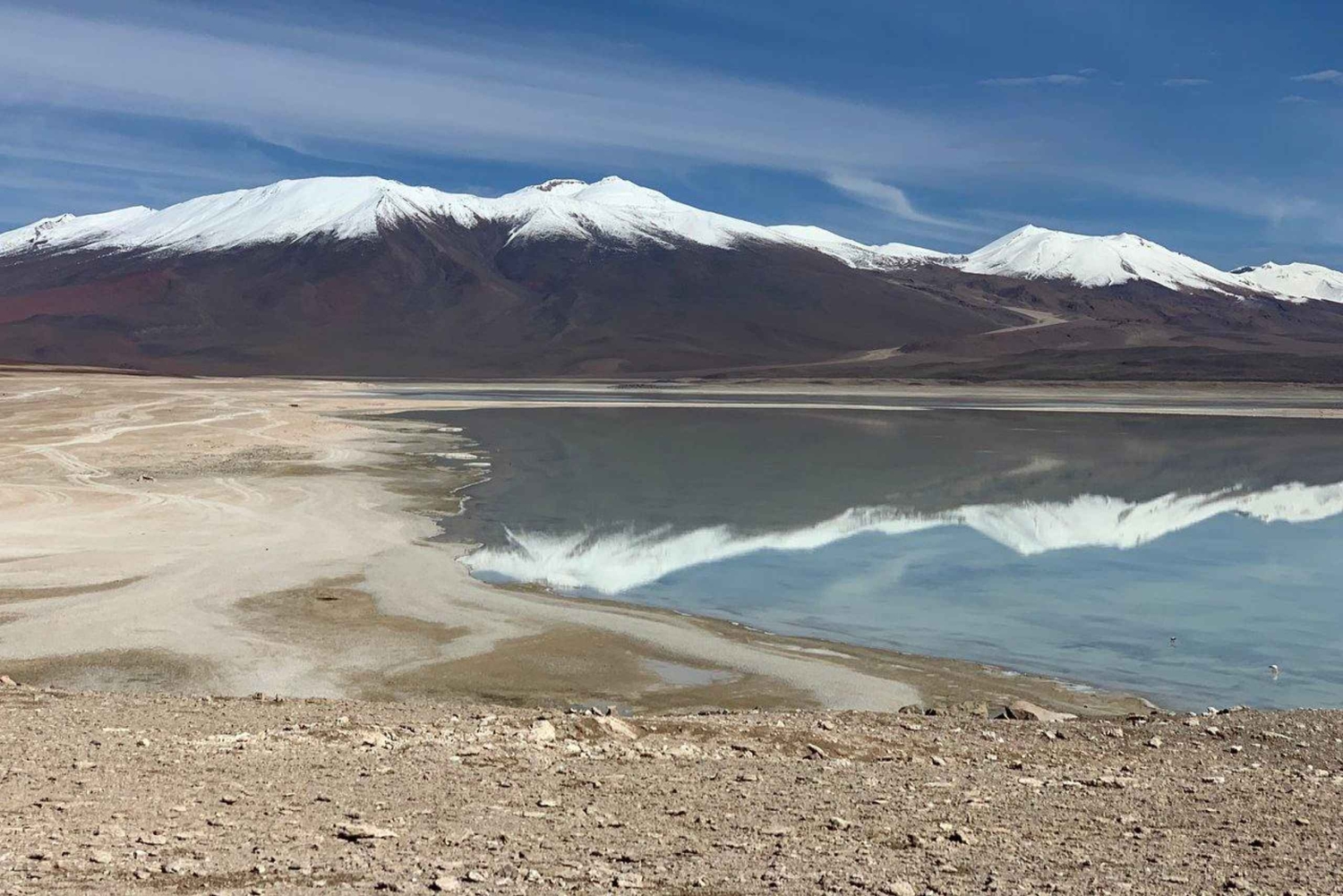 La Paz: Uyuni Salt Flats i wyspa Incahuasi 5 dni autobusem