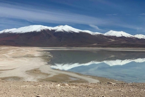 La Paz: Incahuasin saari 5 päivää bussilla: Uyuni Salt Flats ja Incahuasi Island 5 päivää bussilla