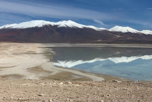 La Paz: Uyuni Salt Flats i wyspa Incahuasi 5 dni autobusem