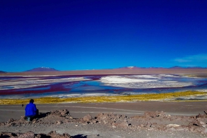 La Paz: tour in autobus di 5 giorni delle saline di Uyuni e di Isla Incahuasi