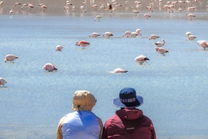 La Paz : Circuit de 5 jours en bus pour les salines d'Uyuni et l'île Incahuasi