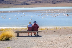 La Paz: Uyuni Salt Flats e Isla Incahuasi Excursão de ônibus de 5 dias