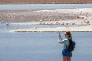 La Paz: Uyuni Salt Flats & Isla Incahuasi 5 päivän bussikiertomatka