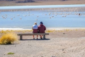 La Paz: Uyuni Salt Flats & Isla Incahuasi 5 päivän bussikiertomatka