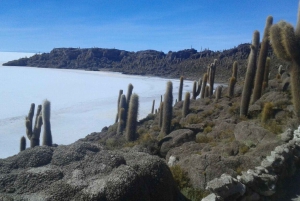 La Paz: Uyuni finalizando en Atacama Chile en autobús.