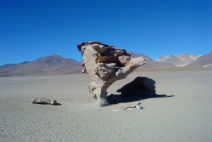 La Paz: Uyuni tour ending in Atacama Chile by bus.