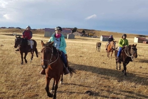 Laguna Blanca: Excursión a la Estancia con Almuerzo de Cordero